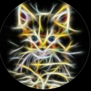 Telegram channel Подпишись #МОНТЯН! (Телеграм) logo