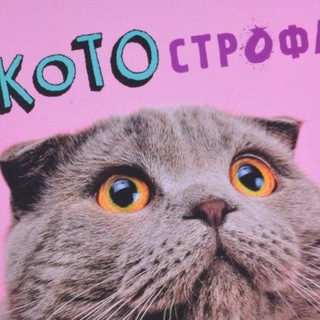 Telegram каналынын логотиби kotostroffaa — КОТОстрофа