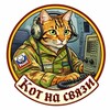 Telegram channel Кот на связи. logo