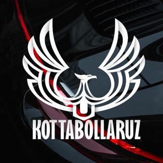Telegram channel Kotta bollar logo
