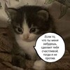 Telegram channel Пруфы xx_vika_xxx 2 logo