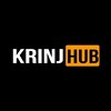 Telegram channel KRINJ HUB | MEMS logo