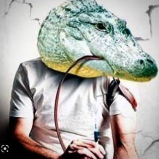 Telegram channel Крокодиловый приход 🔞 logo