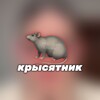 Telegram channel Крысятник сливы logo