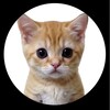 Логотип телеграм канала @kukoldchat7 — КУКОЛД КАНАЛ!!