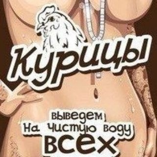 Telegram channel Курицы Краснодара logo
