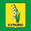 Telegram channel КУРКИНО logo