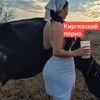 Логотип телеграм канала @kyzdarbaar — Кыргыз кыздар бар