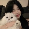 KZL Burma X | TV - Telegram Channels
