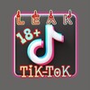 Telegram channel 𝗟𝗲𝗮𝗞 𝗧𝗶𝗞𝗧𝗼𝗞 logo