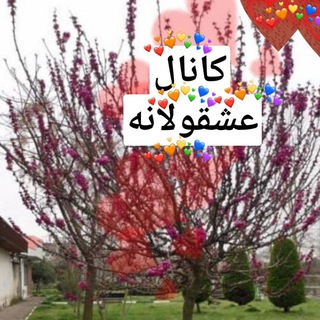 Telegram channel ^^𝑨𝑠ℎ𝐞𝕘𝕙𝓪Ⓝ︎🅔︎‹❤️🌱› logo