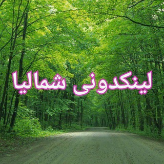 لوگوی کانال تلگرام linkdoni_shomalia1 — لینکدونی شمالیا 🍓