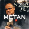Telegram channel MetanLogs logo