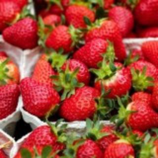 لوگوی کانال تلگرام lokht_toot — توت فرنگی 🍓