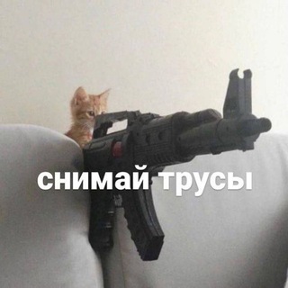 Telegram channel Прикольные кружочки, смешные с Матами Приколы Видосы Эдиты аватарки аниме Аватаки Реданы Оффники Чат Реданы Топ приколы Россия logo