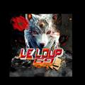 Logo de la chaîne Telegram loup69kgf — ⚜🐺Le Loup 69 🐺⚜ KGF