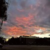 Логотип телеграм канала @loveoktbot — в окте любят: