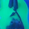 Логотип телеграм канала @malina_krasnodar — 💋Эротический массаж для мужчин |Краснодар💋