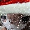 Telegram channel In hats with earflaps🕯️ logo
