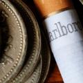 Telegram channel Marlboro🚬 logo