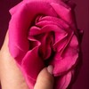 Telegram channel Длинные половые губы | Large labia lips logo