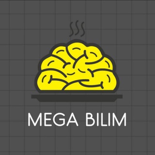 Telegram channel MEGA BILIM💡 logo