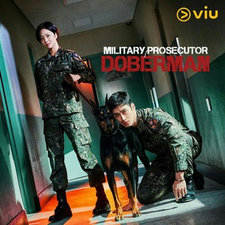 Telegram channel Military Prosecutor Doberman logo