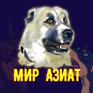 Telegram channel Мир Азиат logo