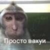 Логотип телеграм канала @moneyblackbears — 6А