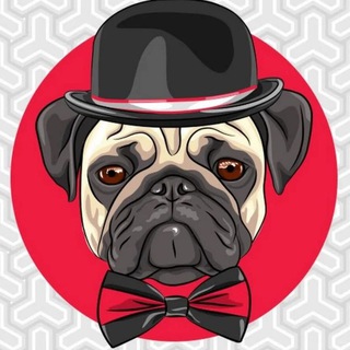 Telegram channel Изолятор Временного Содержания | Мопс дядя пёс logo