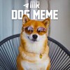 لوگوی کانال تلگرام mr_dogmeme — داگ