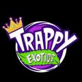 Telegram channel Trappyla logo