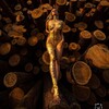Telegram channel Решетников без цензуры 🔞 ню фотограф logo