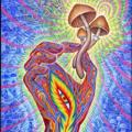 Telegram channel Mushmore Psychedelics logo