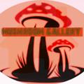 Telegram channel MUSHROOM GALLERY 🍄🎁 logo