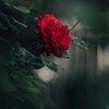 Telegram channel Голос для тебя🥀 logo