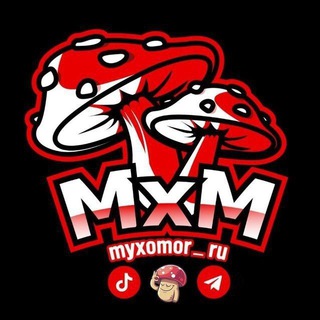 Логотип телеграм канала @myxomor_ru — Купить muhomor mikrodoZing🍄
