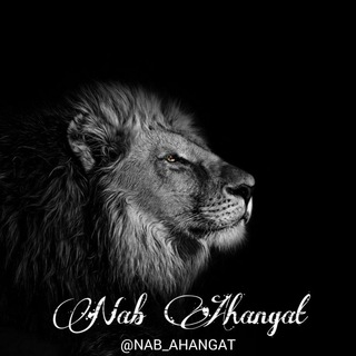 لوگوی کانال تلگرام nab_ahangat — (آهنگ ناب تلگرام/سیستمی)