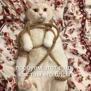 Telegram channel небдсмщица ⛓ logo