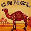 Telegram channel Ⓜ️агазин табачних виробів🐪🐪🐪 logo