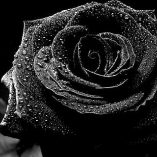 Telegram channel 🌹ВПИСКИ🌹ЭСКОРТ🌹ВСТРЕЧИ🌹ДОСУГ🌹ЗНАКОМСТВА🌹НИЖНИЙ НОВГОРОД🌹 logo
