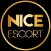 Telegram channel NICE logo