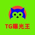 电报频道的标志 nodbao — 博彩业资讯