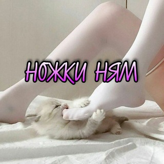 Telegram channel Ножки ням logo