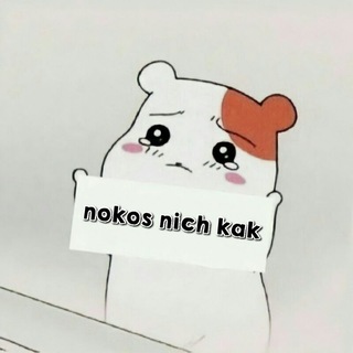 Logo des Telegram-Kanals nokosnyanich - nokos nich kak