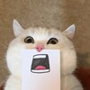 电报频道的标志 nsfwl18 — 福利姬优选