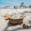 Telegram channel Coconut 🥥 🔞 logo