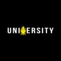 Telegram channel Trap University logo