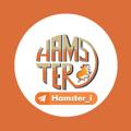 لوگوی کانال تلگرام org_hamster11 — Hamster | همستر