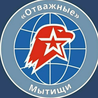 Telegram channel ОТВАЖНЫЕ logo